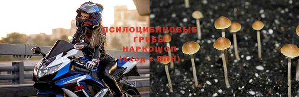 стаф Алексин
