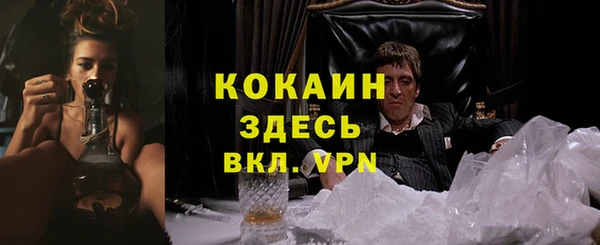 стаф Алексин