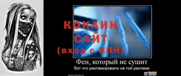 стаф Алексин