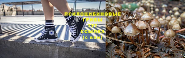 соль ск Алексеевка