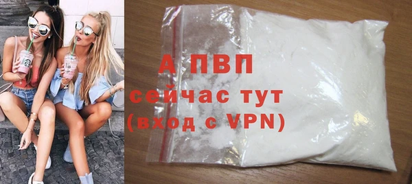 стаф Алексин