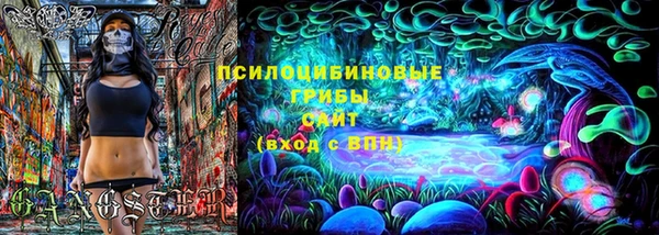 стаф Алексин